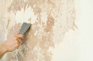 Warminster Wallpaper Stripping